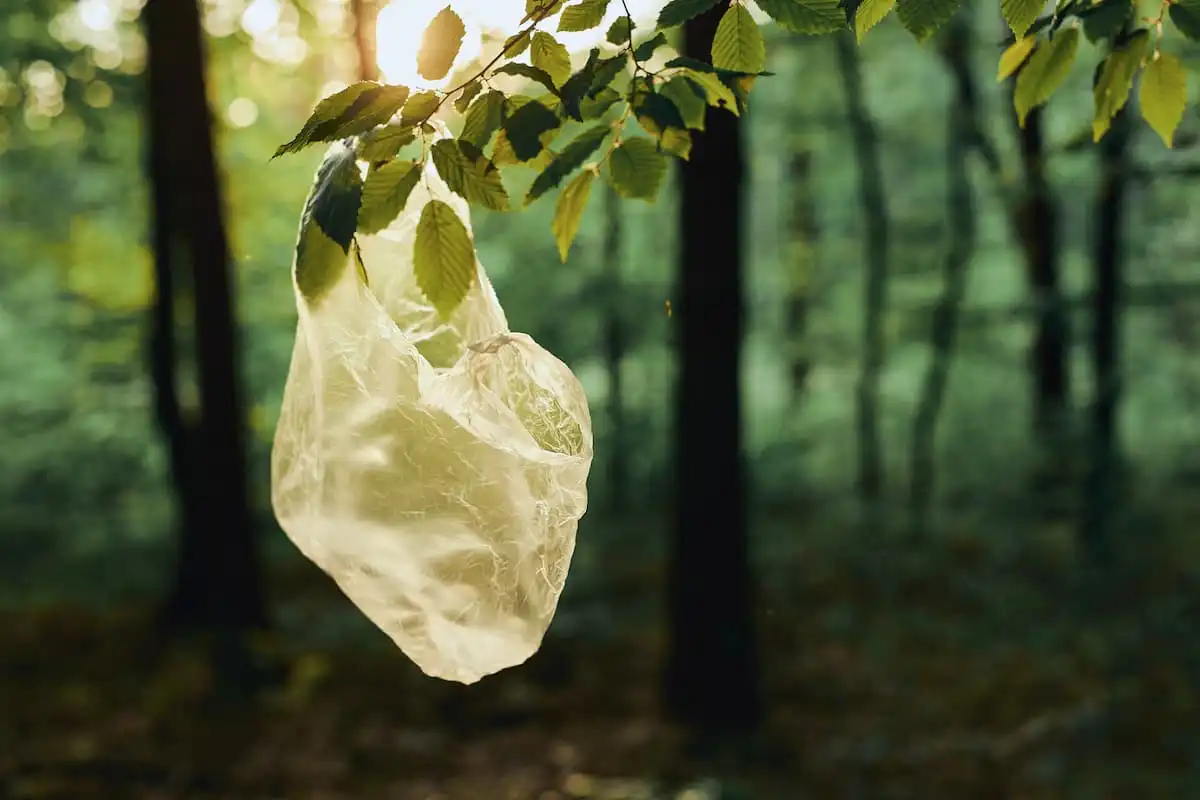 Dampak Plastik Sekali Pakai terhadap Lingkungan
