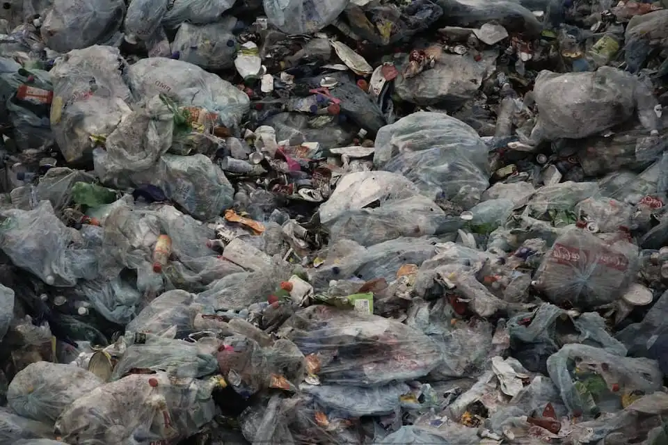 Inilah 7 Alasan Kantong Plastik Sekali Pakai Sangat Dilarang Penggunaanya